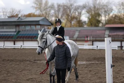 Dainese Equestrian Защитная экипировка для конного спорта | Moscow