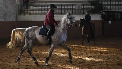 Федерация конного спорта России / НОВОСТИ / Федерация конного спорта России  подписала соглашение с Испанской школой верховой езды