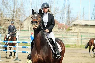 О преимуществах адаптивного конного спорта в Хакасии | Министерство  физической культуры и спорта Республики Хакасия