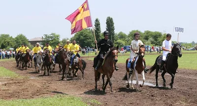 конные элементы английского конного спорта PNG , купольная шапка, барин,  поводья PNG картинки и пнг PSD рисунок для бесплатной загрузки