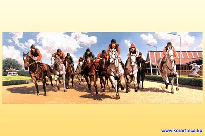Республиканский фестиваль конного спорта пройдёт в Хакасии | Министерство  физической культуры и спорта Республики Хакасия