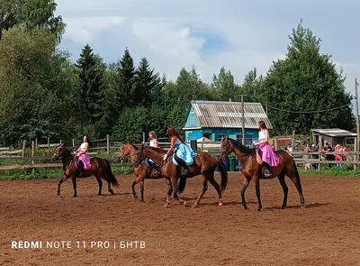 Евразийская ассоциация конного спорта планирует провести турнир в  Кыргызстане » Ежедневная спортивная газета Кыргызстана Sport.kg