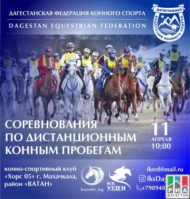 Федерация конного спорта Санкт-Петербурга - Федерация конного спорта  Санкт-Петербурга