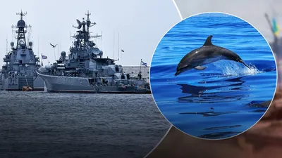 РСМД :: Проверка на прочность: что делают корабли НАТО в Черное море?