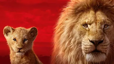 Приквел «Короля Льва» о Муфасе получил название. Фильм выйдет в 2024 году -  Афиша Daily