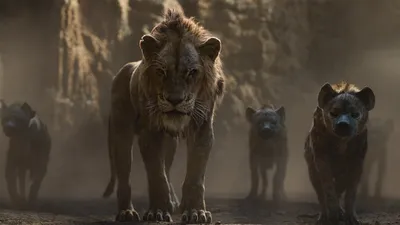Disney выпустит продолжение «Короля Льва»