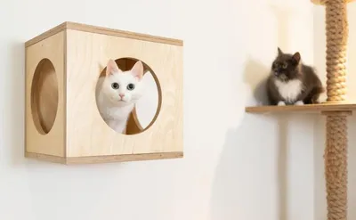 ОГРОМНЫЙ ДОМ с лифтом для кошки 🐈 из картона своими руками - YouTube