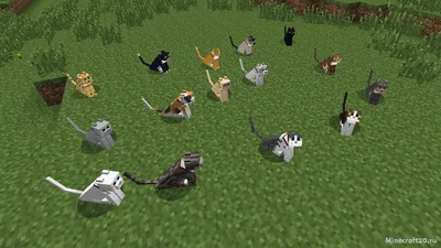 Кошка — Minecraft Wiki