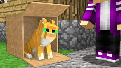 Minecraft Dungeons — Розовый кот / Компаньоны / Персонажи и игроки