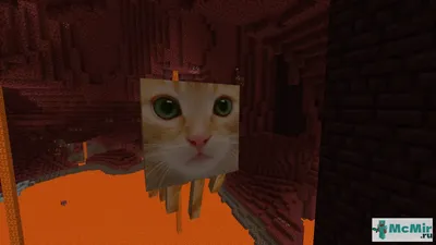 Популярные имена котов Minecraft Warriors Kitten, Cat, млекопитающее,  животные, кошка png | Klipartz