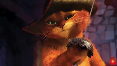 Кот стал звездой Instagram из-за сходства с Котом в сапогах из мультфильма  Шрек - «ФАКТЫ»