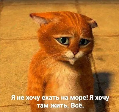 Вышел новый трейлер спин-оффа \"Шрека\" про Кота в сапогах - Российская газета