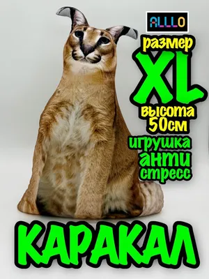 2 кота Каракал иллюстрация штока. иллюстрации насчитывающей цифрово -  106095450