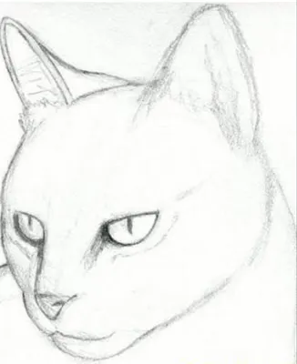 Как нарисовать кота поэтапно карандашом