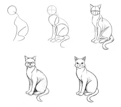 Как нарисовать кошку простым карандашом
