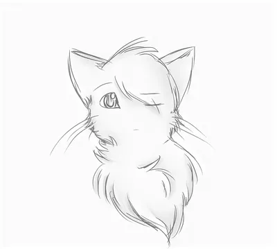 Как нарисовать карандашом кота | Кот и кошка