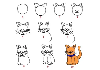 Эскиз кошки карандашом для детей - 46 фото
