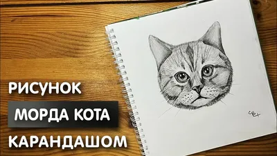 Как нарисовать Супер кота поэтапно карандашом? | Ozornik.net