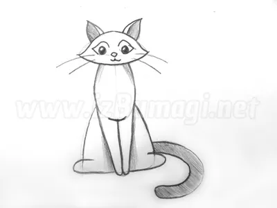 Кот рисунок карандашом - 68 фото