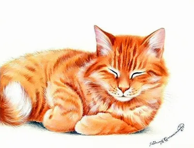 Рисунок карандашом:\"Котик с мотком ниток\" №967196 - купить в Украине на  Crafta.ua