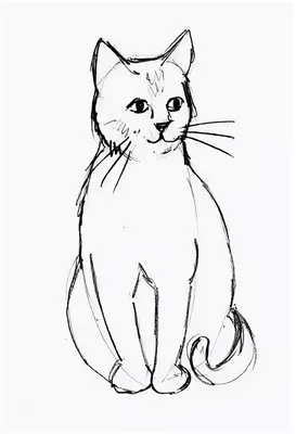 Кошка, котенок, карандашный рисунок, кот, карандаш, животные png | PNGEgg