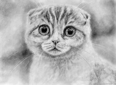 Кот рисует кота карандашом на …» — создано в Шедевруме