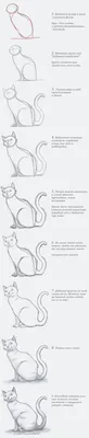 Кот. Рисунок. Карандашом | Cats, Animals, Draw