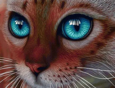 Морда британского кота с большими глазами. Устрашенное животное Стоковое  Изображение - изображение насчитывающей здорово, прелестное: 193054951