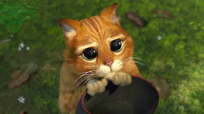 Фото кота с грустными глазами фотографии