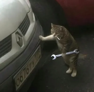 Просто кот с сигаретой и ключом. | Пикабу