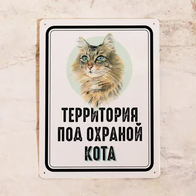 Металлическая табличка на забор Территория под охраной лесного кота , идея  подарка владельцу кота , металл, 30х40 см, 30 см, 40 см - купить в  интернет-магазине OZON по выгодной цене (481744644)