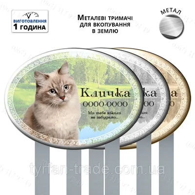 Сувенир \"Кот с табличкой\" купить в Перми с доставкой, цена - Творческая  мастерская «СТРЕКОЗА»