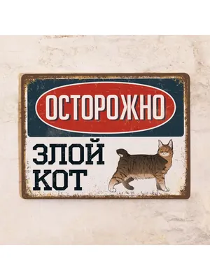 Жестяная табличка Злой кот - Бобтейл, металл, 20х30 см | AliExpress