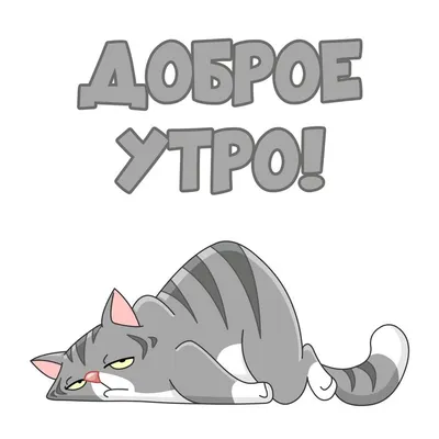 Единорог кота с надписью стоковое изображение. изображение насчитывающей  сказ - 125459703