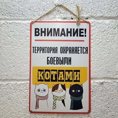 Информационная табличка «Злой кот» табличка на дверь, пиктограмма K104