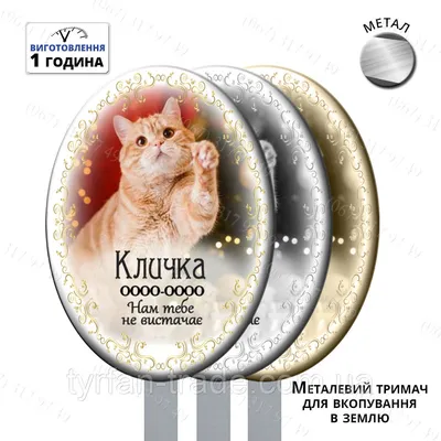 Табличка декоративная для любителей кошек (дерево): 55 грн. - Кошки  Белгород-Днестровский на Olx