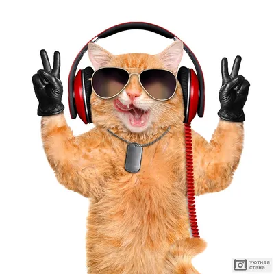 иллюстрация кота в наушниках и толстовке в очках Иллюстрация штока -  иллюстрации насчитывающей посмотрите, потеха: 278351533