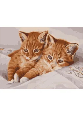 иллюстрация водокраски фавн-флюффи-коти-коти-кота Стоковое Изображение -  изображение насчитывающей створка, пушисто: 278424015