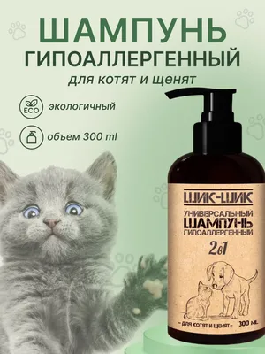 Картина по номерам Рыжий кот Щенок и котенок 30х40 купить по цене 559 ₽ в  интернет-магазине Детский мир