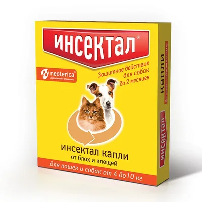 Почему таурин так важен для кошек и собак | Royal Canin UA