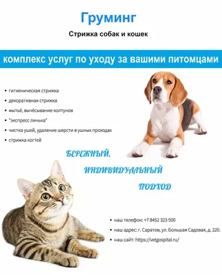 Стронгхолд для Собак и Кошек до 2.5 кг - Купить с Доставкой по Москве