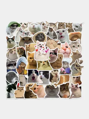 Котенка фотографируют на телефон» — создано в Шедевруме