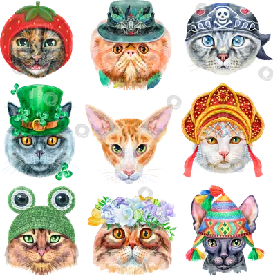 Фотоальбом Международной Шоу-выставки кошек всех пород 29-30 октября 2022  «Котомир-Шоу 2022» | Котомир