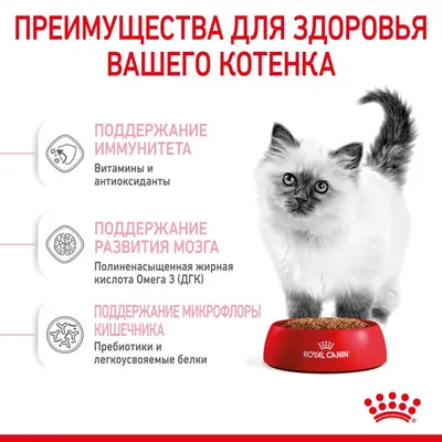 Корм для кошек Schesir Kitten полноценный с курицей для котят всех пород в  возрасте от 3 до 52 недель - «Котёнок не стал есть! Наверное, невкусно)))»  | отзывы