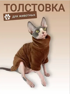 Одежда для кошек из 100% хлопка, футболка для кошек, СФИНКСОВ | AliExpress