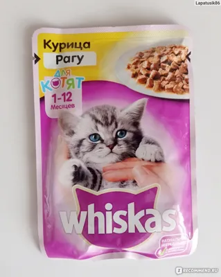 Whiskas (Вискас) - Влажный корм курица в желе для котят - Купить онлайн,  цена и отзывы на E-ZOO