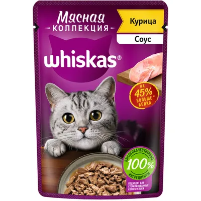 Влажный корм для котят Whiskas паштет с курицей, 24 шт по 85 г - отзывы  покупателей на маркетплейсе Мегамаркет | Артикул товара:100022807993