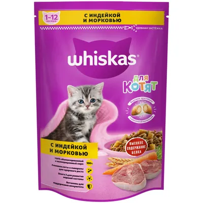 Корм для кошек Whiskas: отзывы и разбор состава - ПетОбзор