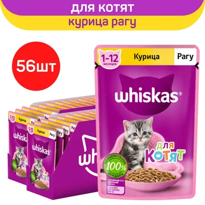 Whiskas (Вискас) - Влажный корм курица в желе для котят - Купить онлайн,  цена и отзывы на E-ZOO