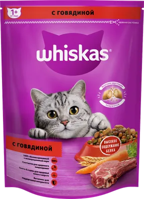 Влажный полнорационный корм Whiskas для котят от 1 до 12 месяцев, рагу с  курицей, 75г. x 56шт. - купить с доставкой по выгодным ценам в  интернет-магазине OZON (1054594594)
